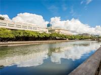 More Details about MLS # 202208293 : 1621 ALA WAI BOULEVARD 303